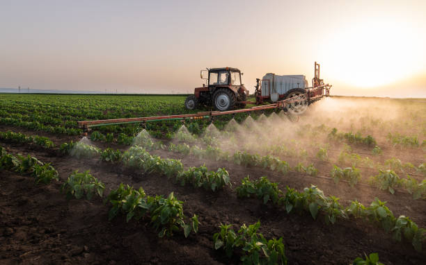 Best Commercial Pest Control Services  in Harvest, AL
