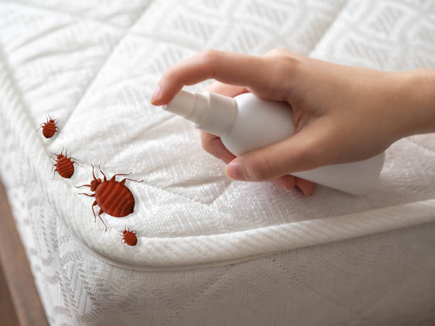 Best Commercial Pest Control Services  in Harvest, AL